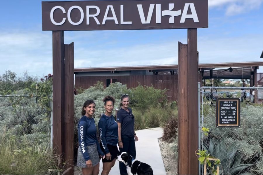 CORAL VITA – LUNCH ON THE BEACH – CITY TOUR
