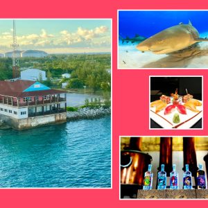 PIER ONE - RUM TASTING - SHARK FEEDING