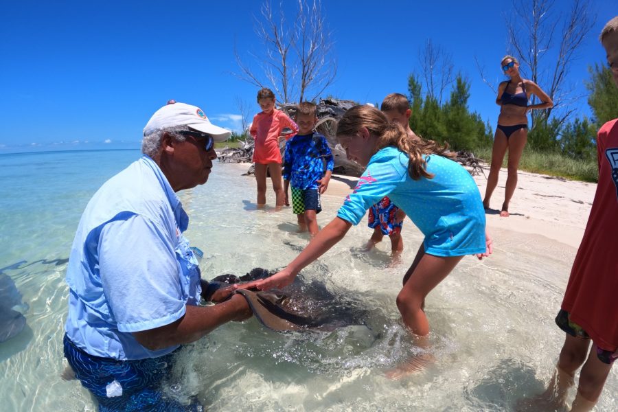 ECO TOURS – STING RAY EXPERIENCE EXPERIENCE