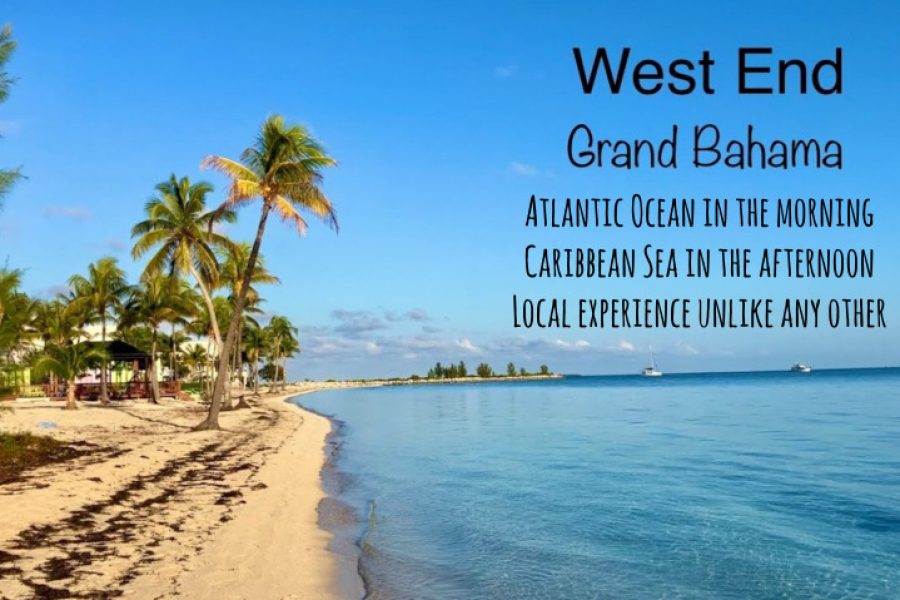 TRUE BAHAMIAN LOCAL EXPERIENCE – PARADISE COVE THEN WEST END EXPERIENCE