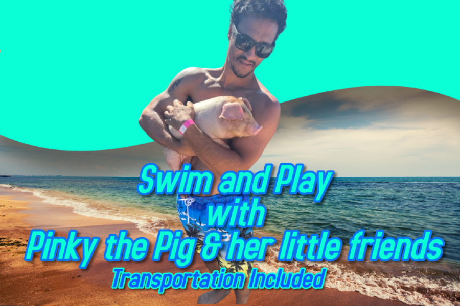 Swim & Play with Pinky and her little friends… Yes, they are pigs… Mather Town Beach (transportation incl)